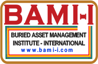 Buried Asset Management Institute: International Logo